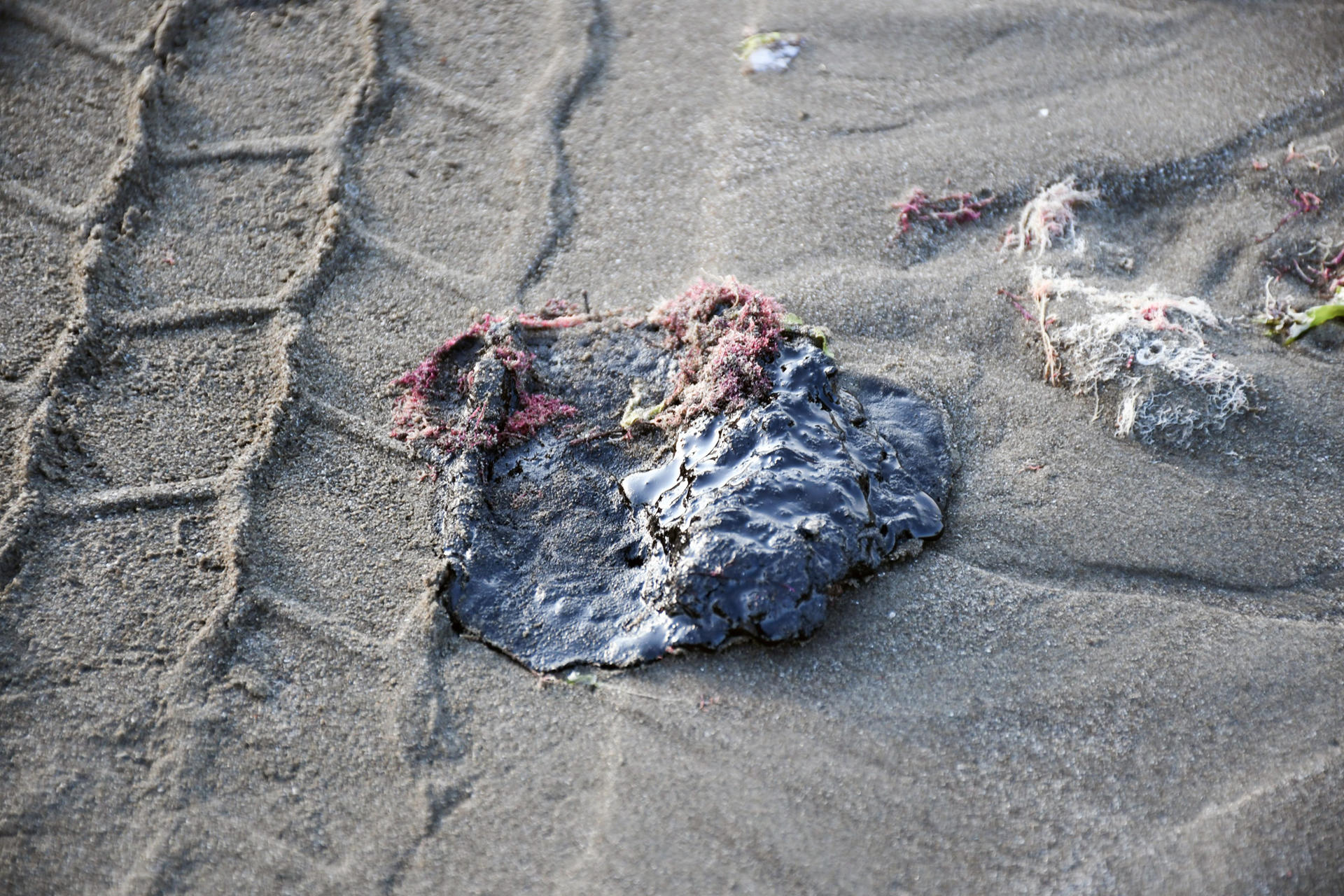 Pemex activa operativo en Veracruz por residuos de aceite en zona afectada por derrame Pemex activa operativo en Veracruz por residuos de aceite en zona afectada por derrame