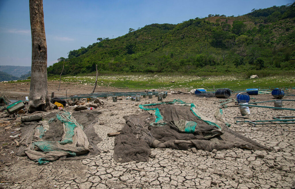 Calor extremo y sequías serán cinco veces más frecuentes al final del siglo
