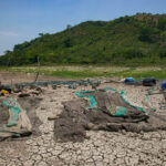 Calor extremo y sequías serán cinco veces más frecuentes al final del siglo