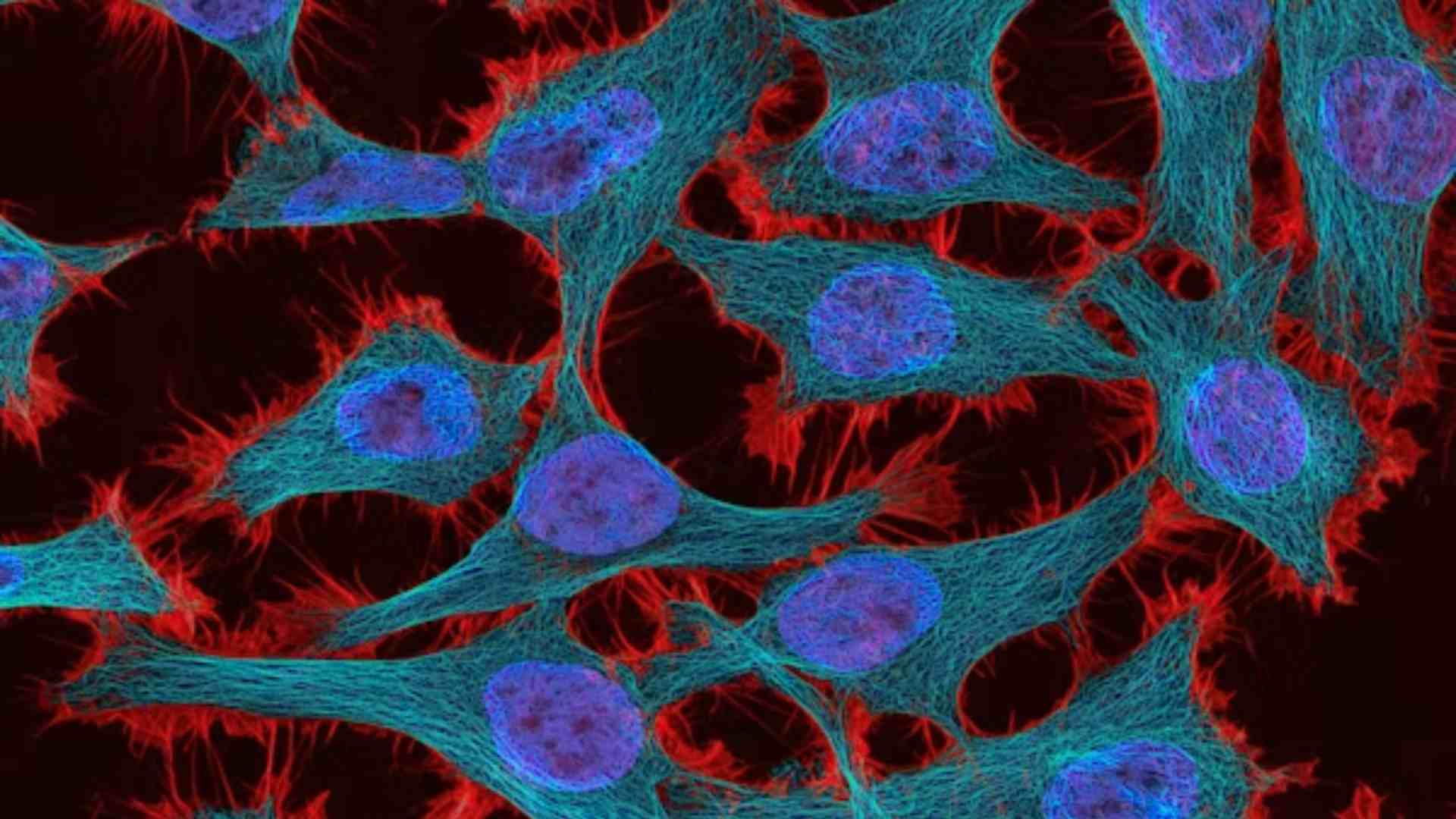 La estrategia de teragnosis contra el cáncer avanza en México hacia etapas tempranas