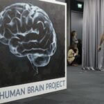 Regeneración cerebral de algunas aves podría inspirar la reparación del cerebro humano