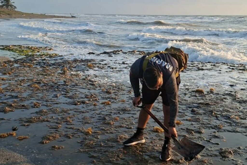 Sheinbaum anuncia creación de Observatorio del Golfo tras derrame de hidrocarburo