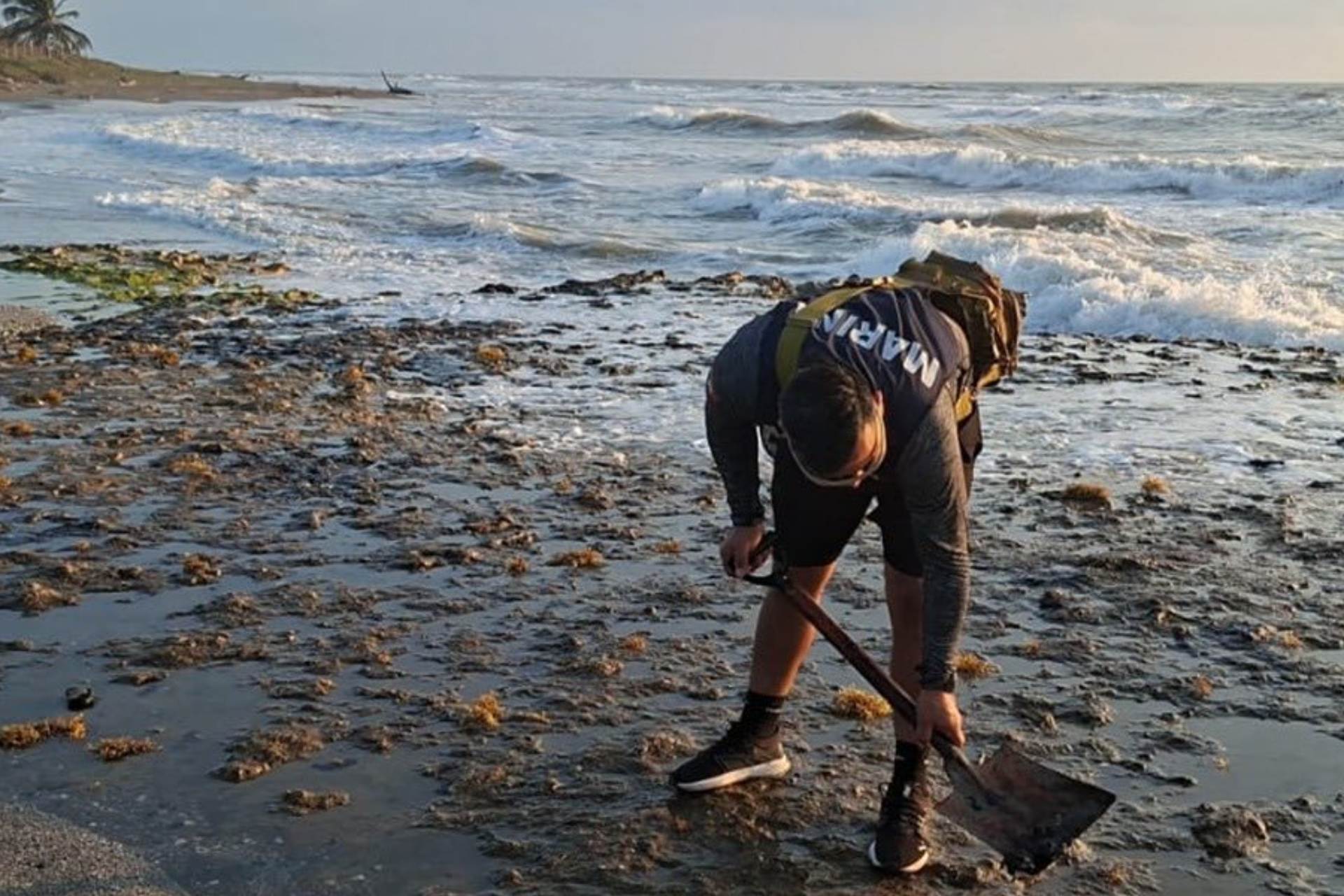 Sheinbaum anuncia creación de Observatorio del Golfo tras derrame de hidrocarburo