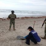 Recolectan más de 890 toneladas de hidrocarburo en el Golfo de México