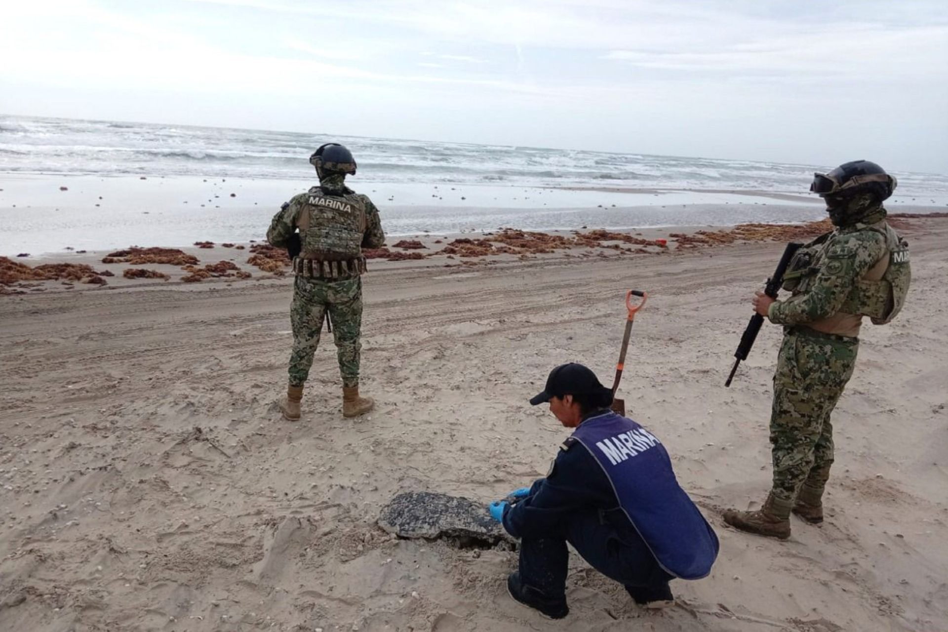 Recolectan más de 890 toneladas de hidrocarburo en el Golfo de México