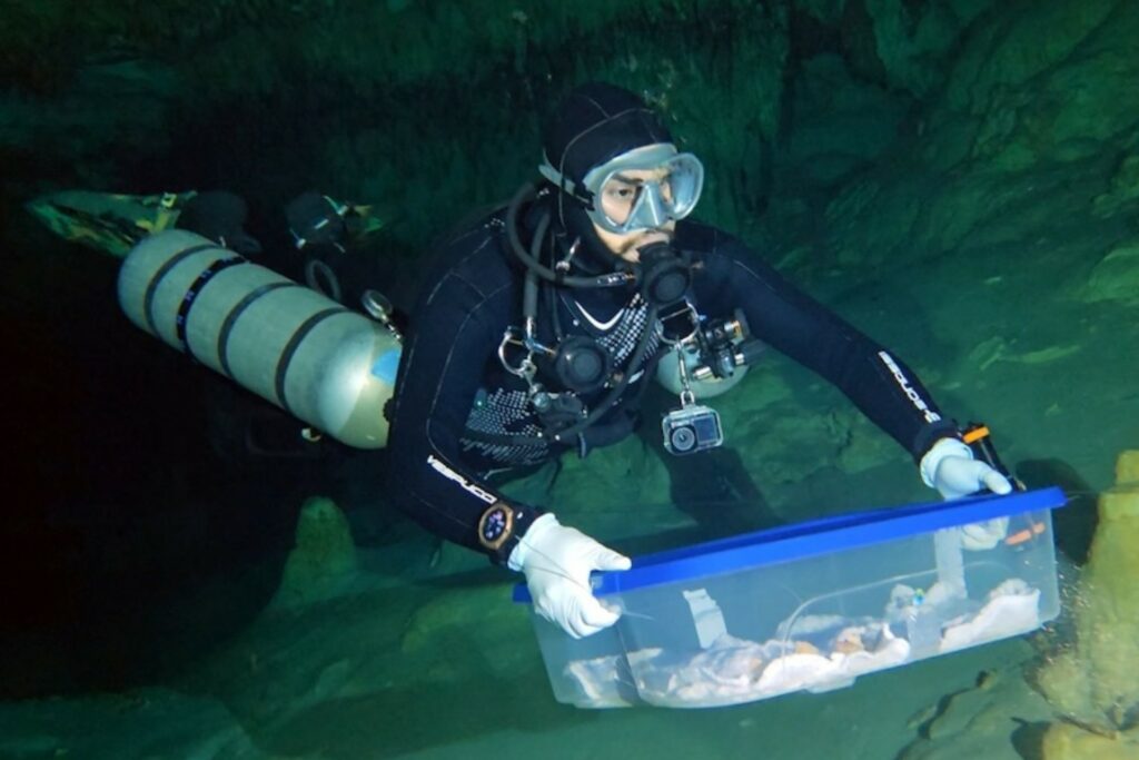 INAH traslada fósiles, recuperados en Quintana Roo, para estudios de antropología física