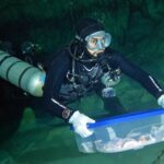 INAH traslada fósiles, recuperados en Quintana Roo, para estudios de antropología física