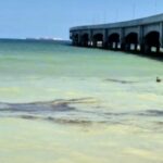 Aparecen manchas de crudo en Puerto Progreso, Yucatán; autoridades refieren falla en ducto submarino
