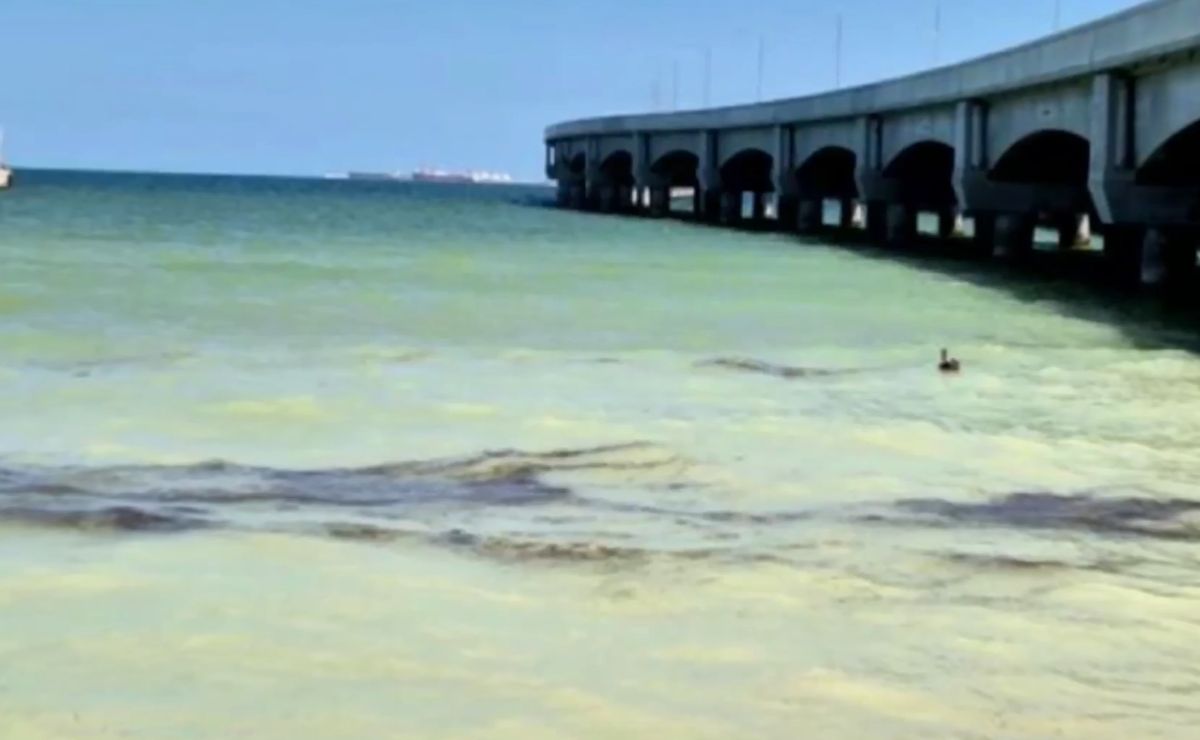 Aparecen manchas de crudo en Puerto Progreso, Yucatán; autoridades refieren falla en ducto submarino