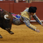 Video: Morante de la Puebla sufre una cornada en Sevilla