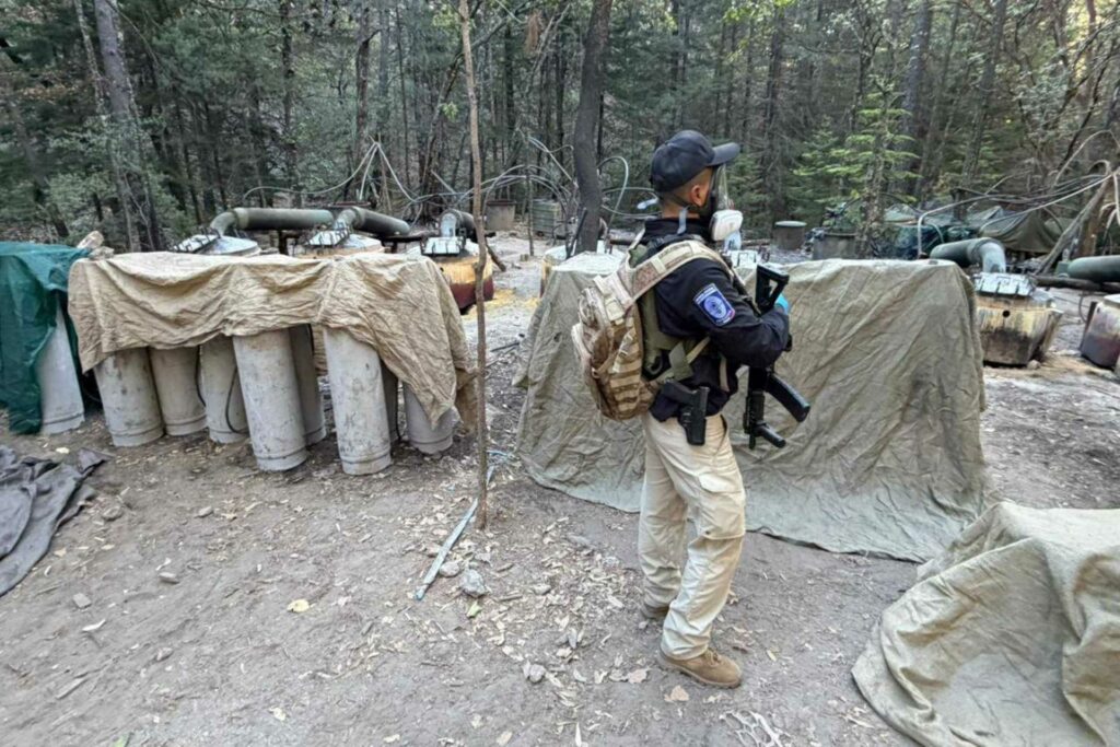 Gobierno federal no sabía del operativo entre Estados Unidos y Chihuahua: Sheinbaum