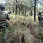 Operativo Refuerzo CDMX: 55 detenidos durante operativos de marzo