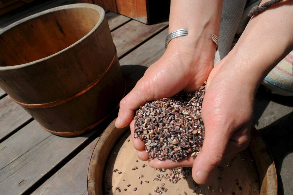 Estudio revela que plantas pueden percibir el sonido de la lluvia y germinar más rápido