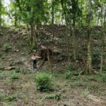 INAH registra El Jefeciño, sitio arqueológico en Quintana Roo