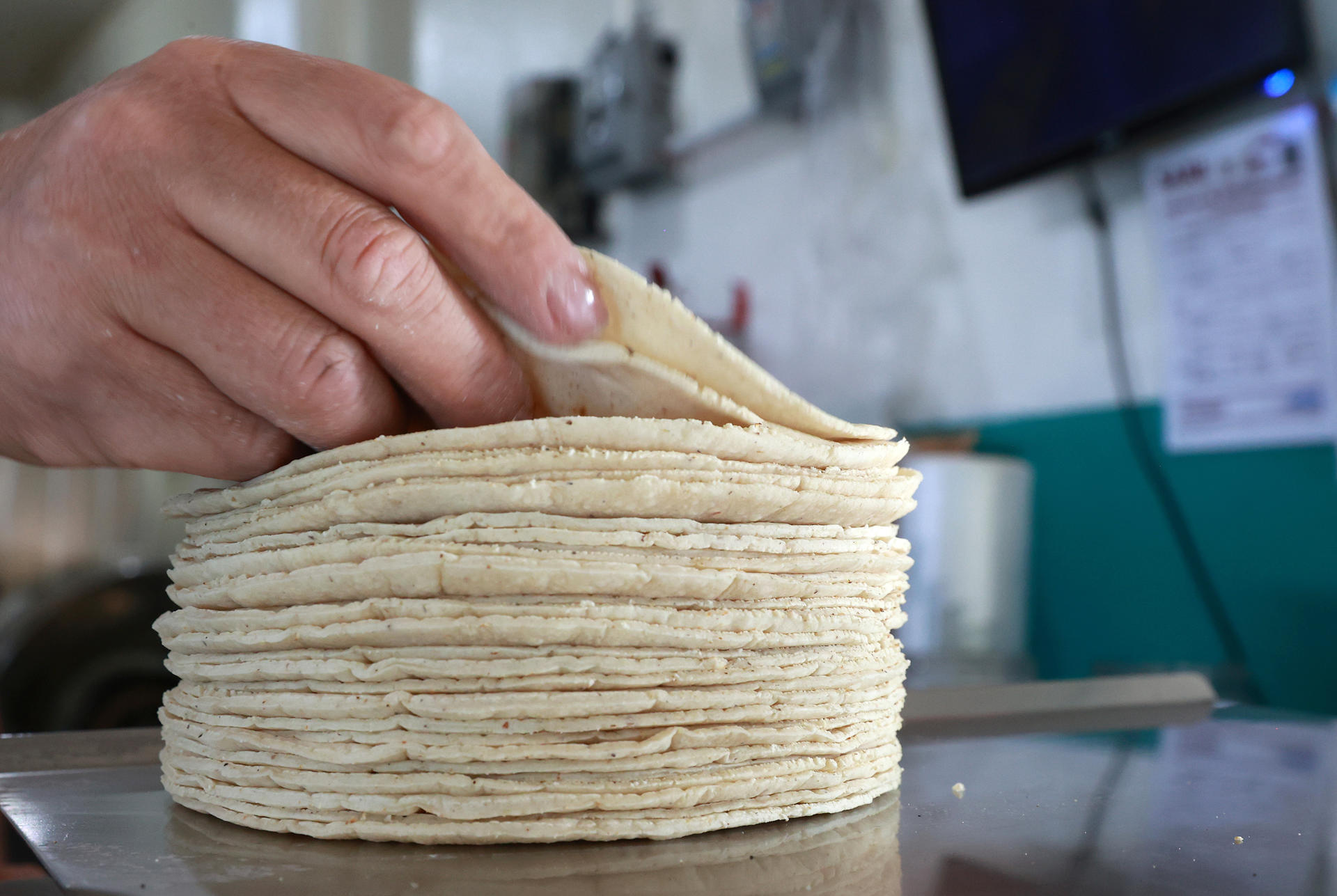 Tortilleros en México chocan con Gobierno por alza de precios, costos e informalidad Tortilleros en México chocan con Gobierno por alza de precios, costos e informalidad