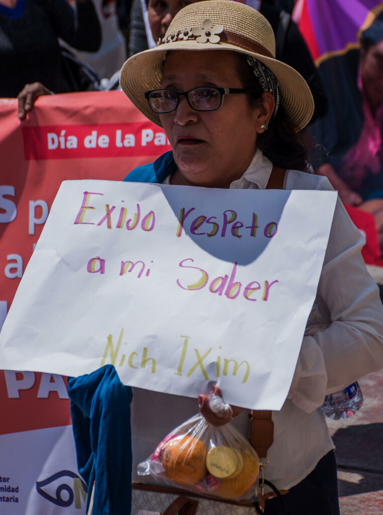 Parteras indígenas marchan en Chiapas para defender su práctica ancestral - 06a1730186256d0709d8611a58fc87bc346a23d8w-762x1024