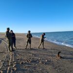 Rescatan a lobo marino con signos de enfermedad en Baja California