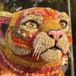 ¿Un trompo de pastor elaborado con flores en Masaryk?