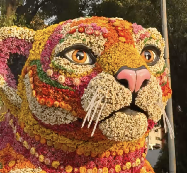 ¿Un trompo de pastor elaborado con flores en Masaryk?