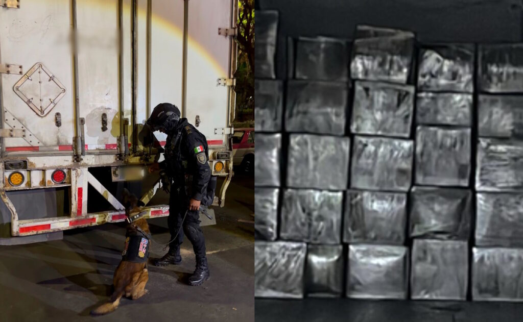 Con ayuda de perros, hallan en CDMX droga oculta en cajas de huevo