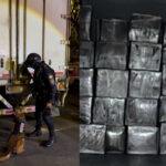 Con ayuda de perros, hallan en CDMX droga oculta en cajas de huevo
