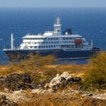 ¿Qué es el hantavirus, brote que afecta a un crucero de expediciones?