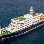 OMS: Brote de hantavirus en un crucero no es una amenaza para la población