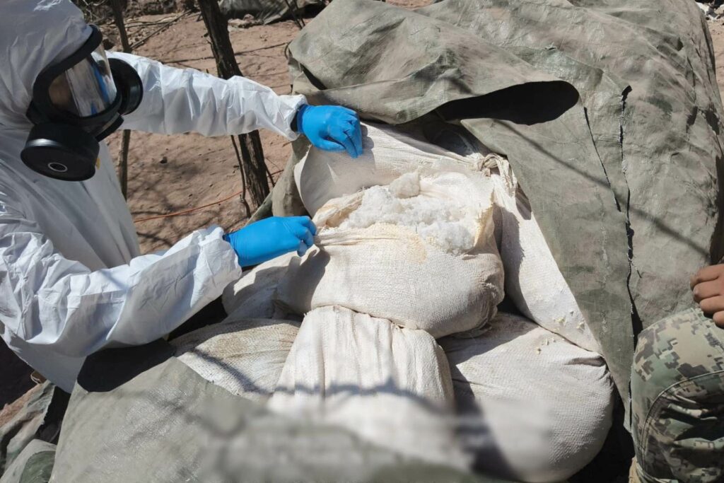 Inhabilitan tres laboratorios clandestinos en Sinaloa; afectación a la delincuencia es de más de 900 mdp