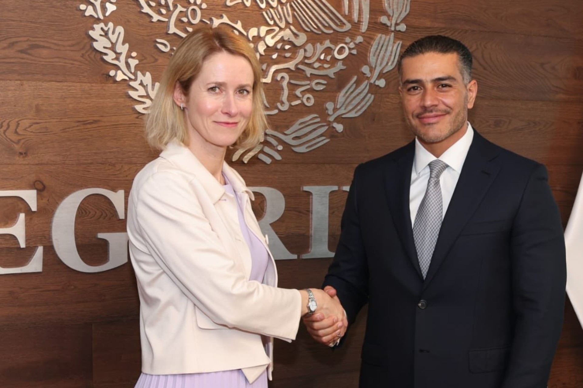 García Harfuch se reúne con vicepresidenta de Comisión Europea; fortalecen cooperación en seguridad García Harfuch se reúne con vicepresidenta de Comisión Europea; fortalecen cooperación en seguridad