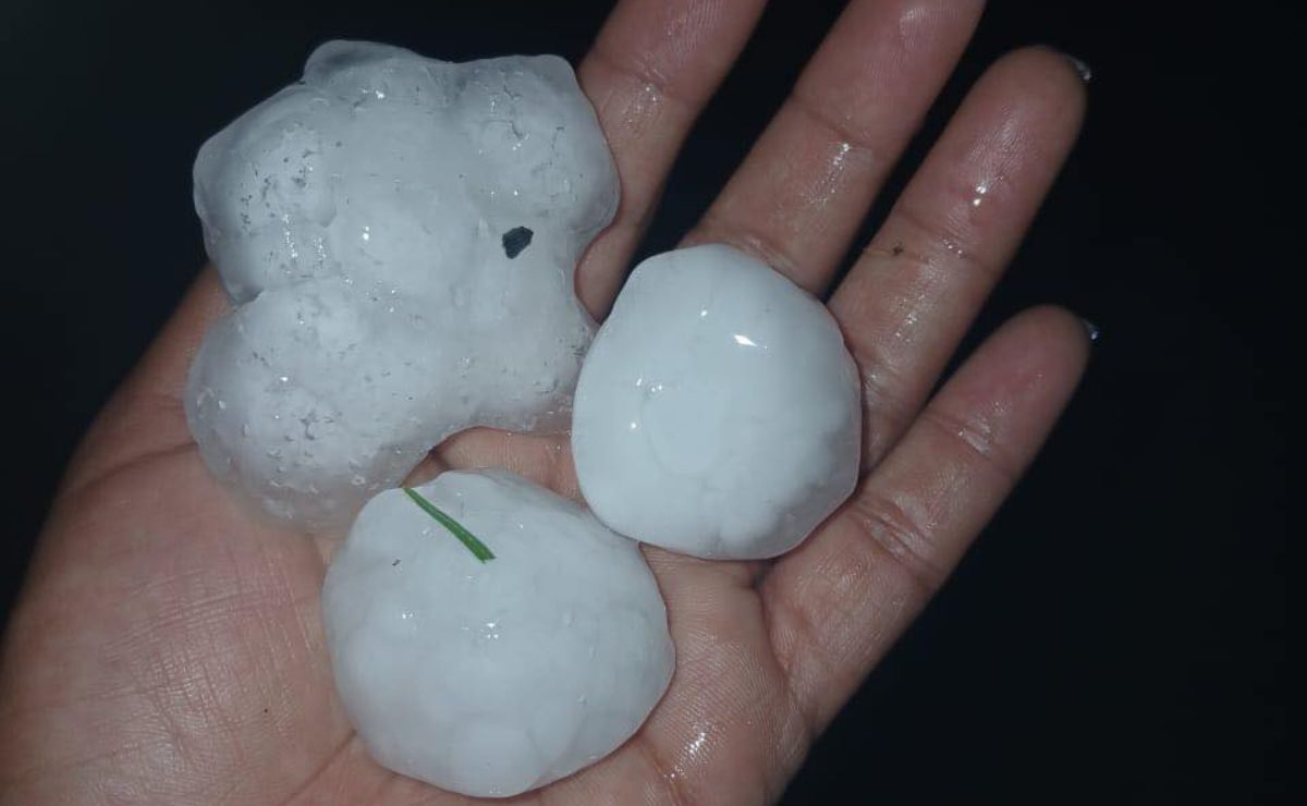 Granizo sorprende a habitantes de Nuevo León; hielo rompió vidrios de autos