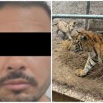 Detienen a líder de una célula afín al Cártel del Noroeste tras operativos en Nuevo León