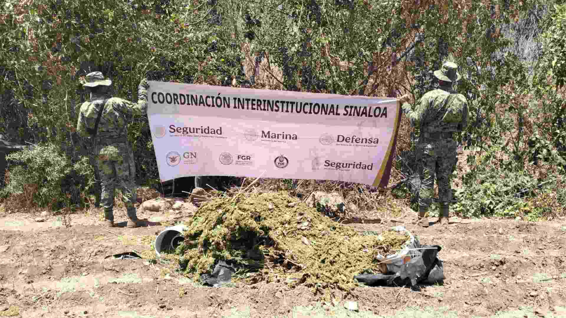 Destruyen presunto secadero de marihuana en la zona del Lago Walamito, Sinaloa Destruyen presunto secadero de marihuana en la zona del Lago Walamito, Sinaloa