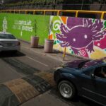 CDMX se pinta de ajolotes a días del Mundial, mientras la especie desaparece