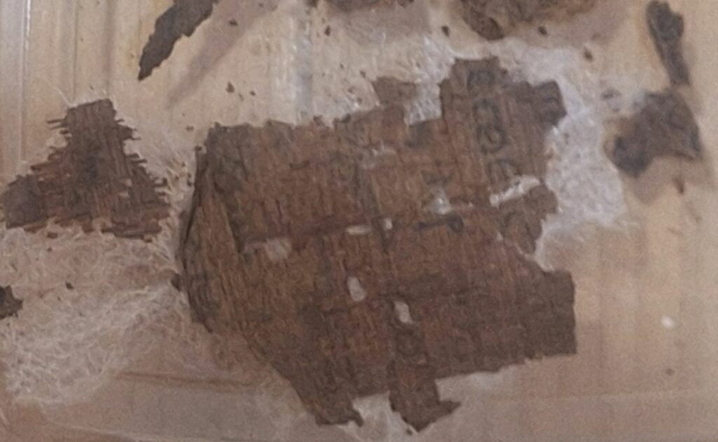 Descubren papiro de la ‘Ilíada’ de Homero en tumba de hace mil 600 años