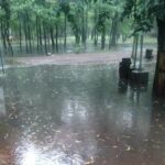 Semarnat confirma fecha de reapertura del Parque Viveros de Coyoacán