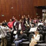 Diputados aprueban anular elecciones por intervención extranjera