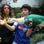 IMPI reconoce a la familia Gómez la marca del viral ‘pato mundialista’