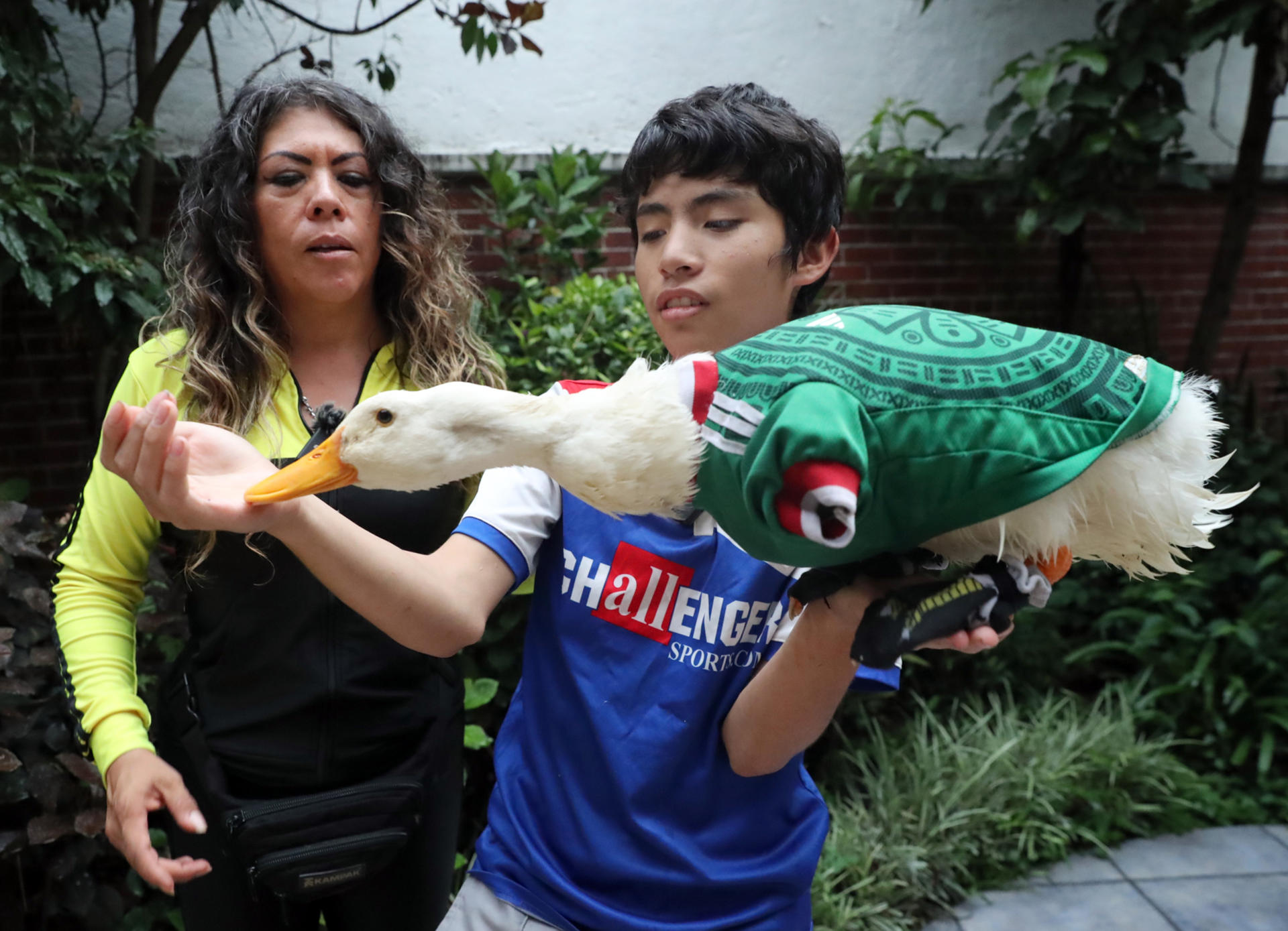 IMPI reconoce a la familia Gómez la marca del viral ‘pato mundialista’