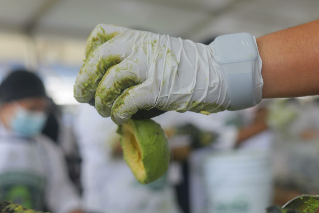 Jalisco establece un Récord Guinness del guacamole más grande del mundo