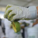 Jalisco establece un Récord Guinness del guacamole más grande del mundo