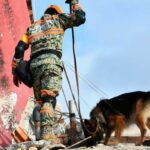 Estos son los 22 binomios caninos mexicanos que laboran en Venezuela por los sismos