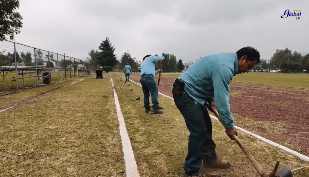 Siembran 475 árboles en las FES para celebrar 475 años de la Fundación de la Universidad de México