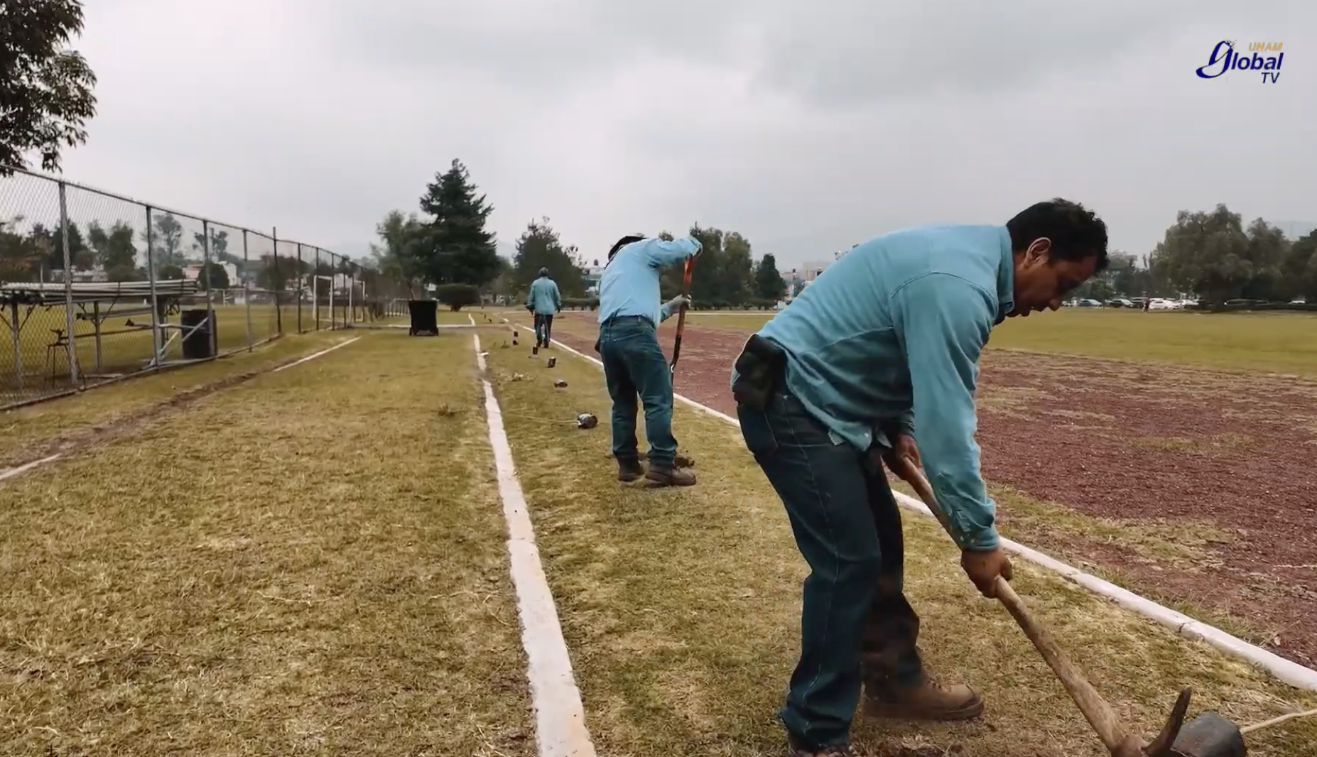 Siembran 475 árboles en las FES para celebrar 475 años de la Fundación de la Universidad de México Siembran 475 árboles en las FES para celebrar 475 años de la Fundación de la Universidad de México