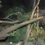 Activan Alerta Amarilla por fuertes vientos en seis alcaldías de CDMX