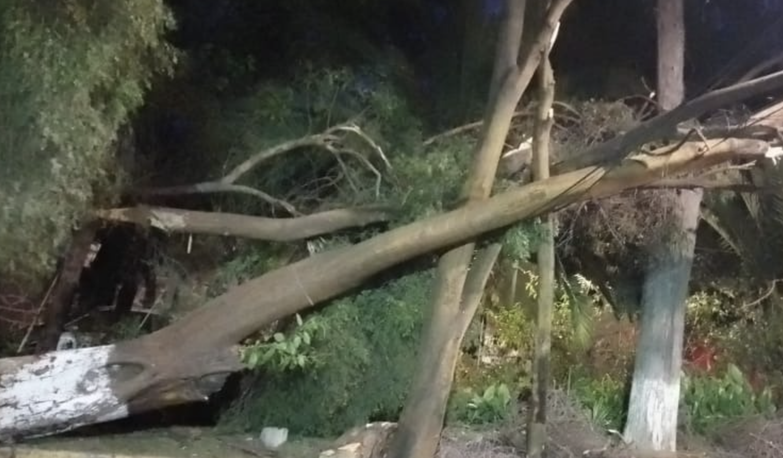 Activan Alerta Amarilla por fuertes vientos en seis alcaldías de CDMX