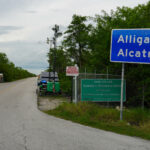 ICE traslada a migrantes de ‘Alligator Alcatraz’ ante el riesgo de huracanes en EE.UU.