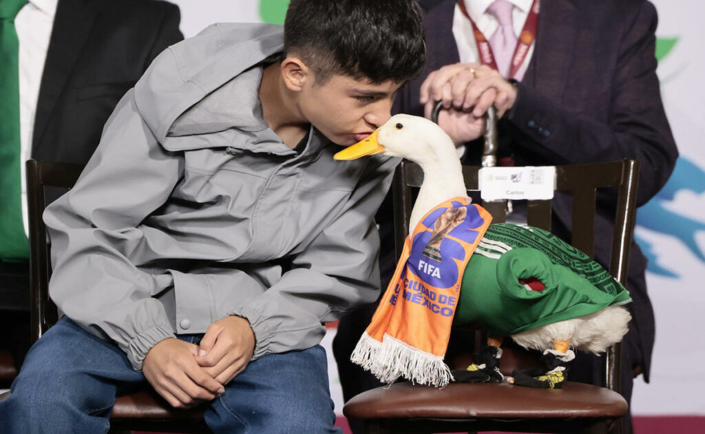 El Pato Merlín visita Palacio Nacional y se roba la atención en la mañanera - el-pato-merlin-visita-palacio-nacional-y-se-roba-la-atencion-en-la-mananera-2-1024x631