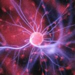 Desarrollan un implante que lee y modula el cerebro para tratar patologías nerviosas