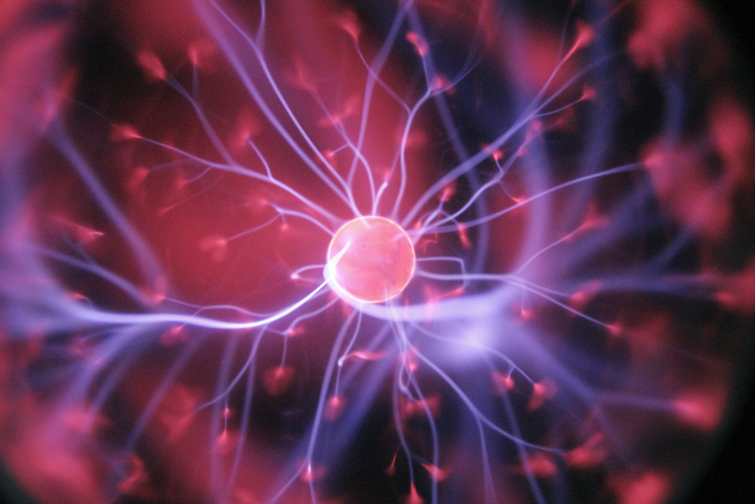 Desarrollan un implante que lee y modula el cerebro para tratar patologías nerviosas Desarrollan un implante que lee y modula el cerebro para tratar patologías nerviosas