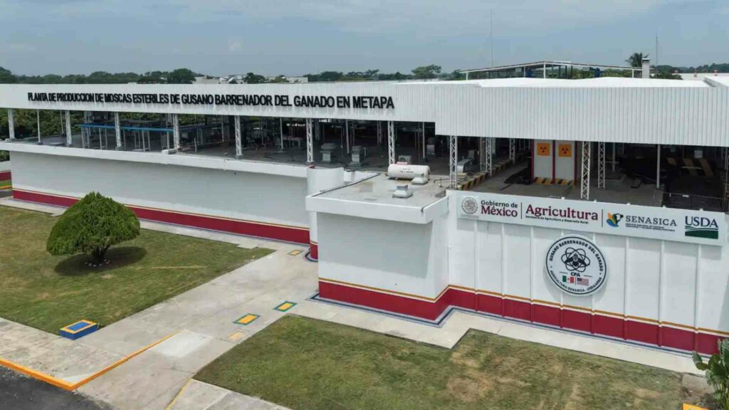 México y EE.UU. inauguran planta de moscas estériles contra el gusano barrenador en Chiapas - mexico-y-eeuu-inauguran-planta-de-moscas-esteriles-contra-el-gusano-barrenador-en-chiapas-1-1024x576